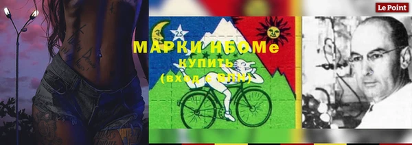 сатива Алзамай