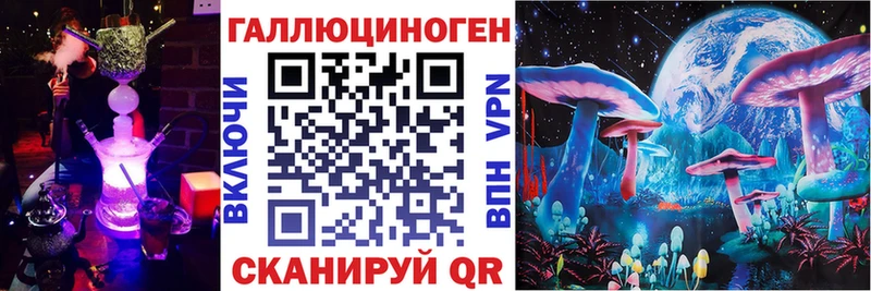 наркота  Микунь  Псилоцибиновые грибы Psilocybe 